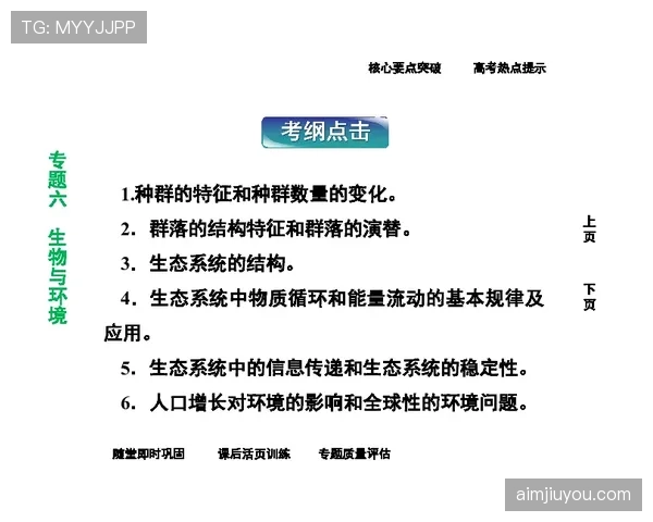 塔雷米破荒背后：状态回暖的关键动因解析